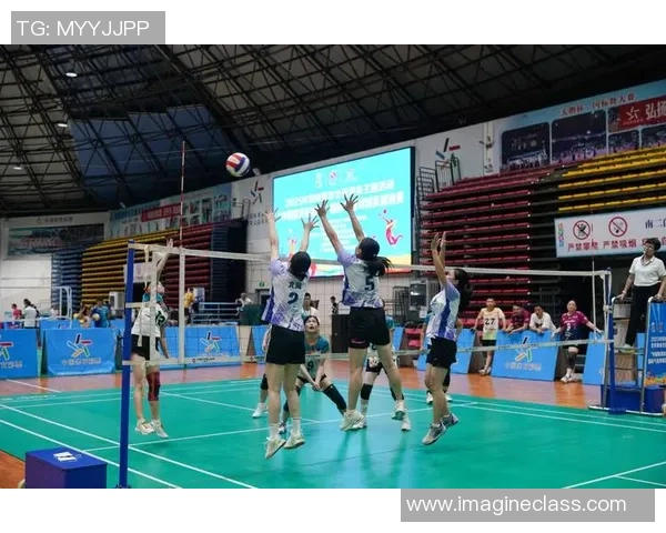 专访黄伟:深入探讨排球领域的成功秘诀与未来发展方向